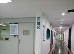 江苏司法DNA鉴定如何办理，江苏权威司法DNA鉴定机构