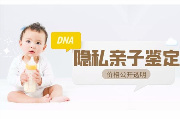 江苏省匿名亲子鉴定办理指南,江苏省匿名亲子鉴定如何办理