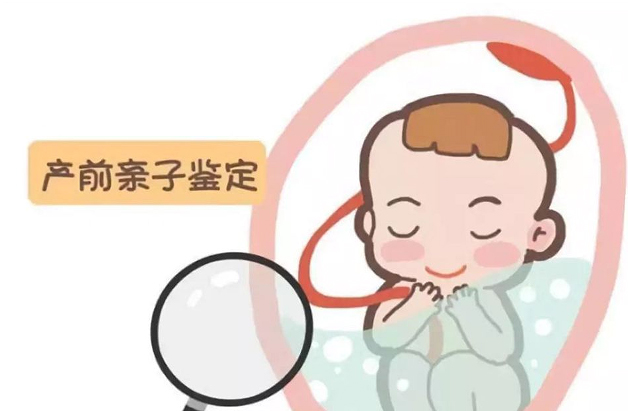 江苏怀孕亲子鉴定要如何办理,