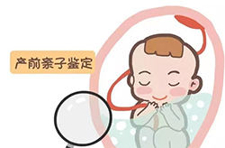 江苏省父亲和肚中胎儿需要怎么办理亲子鉴定，江苏省无创孕期亲子鉴定收费多少